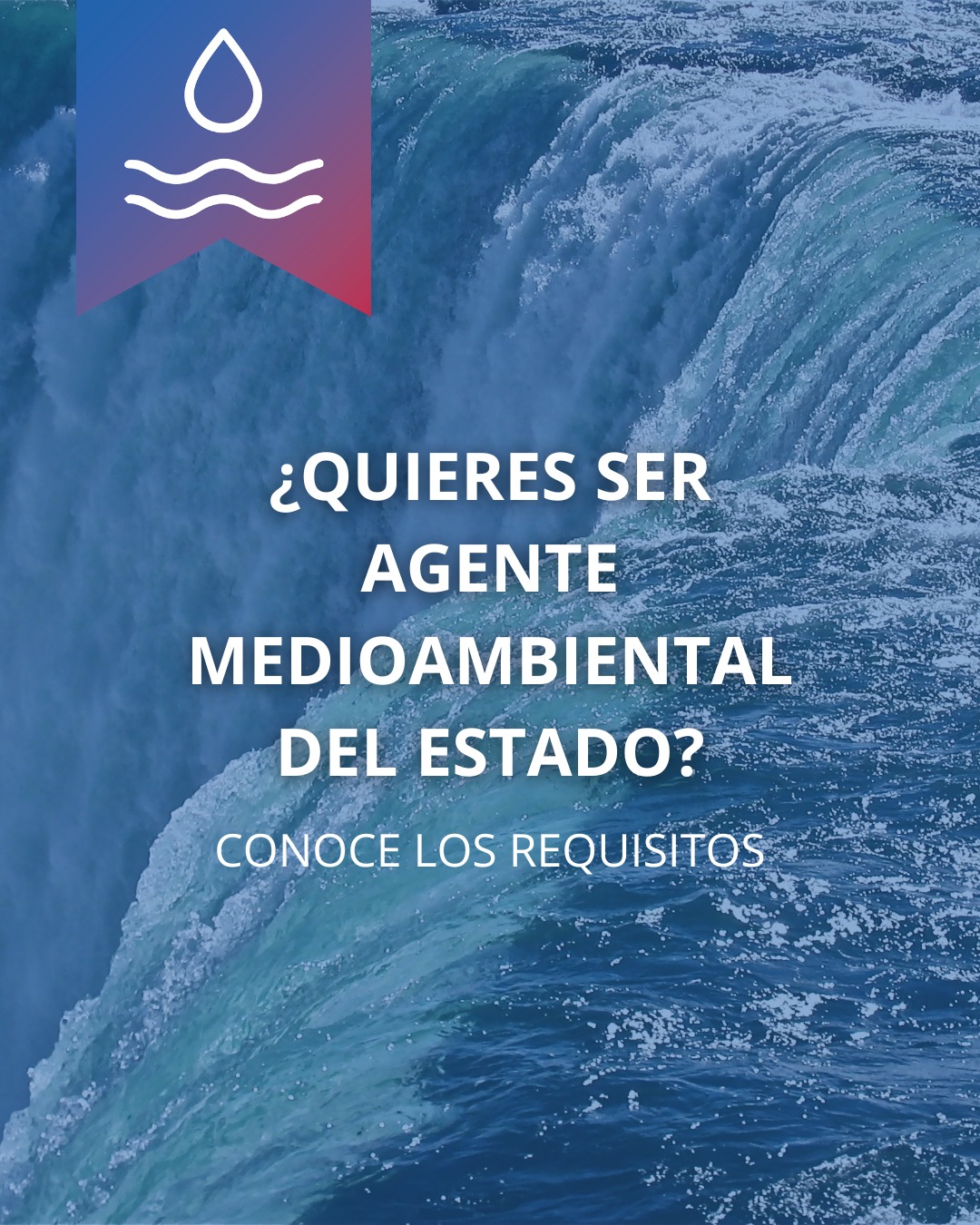 Portada del carrusel de Instagram sobre requisitos para opositar